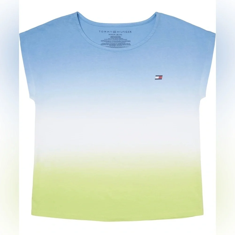 Tommy Hilfiger Blue and Lime Gradient Tee